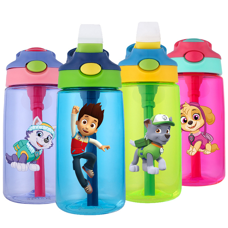 480ml Paw Patrols Water Bottle - Home Gym Compact avis et prix