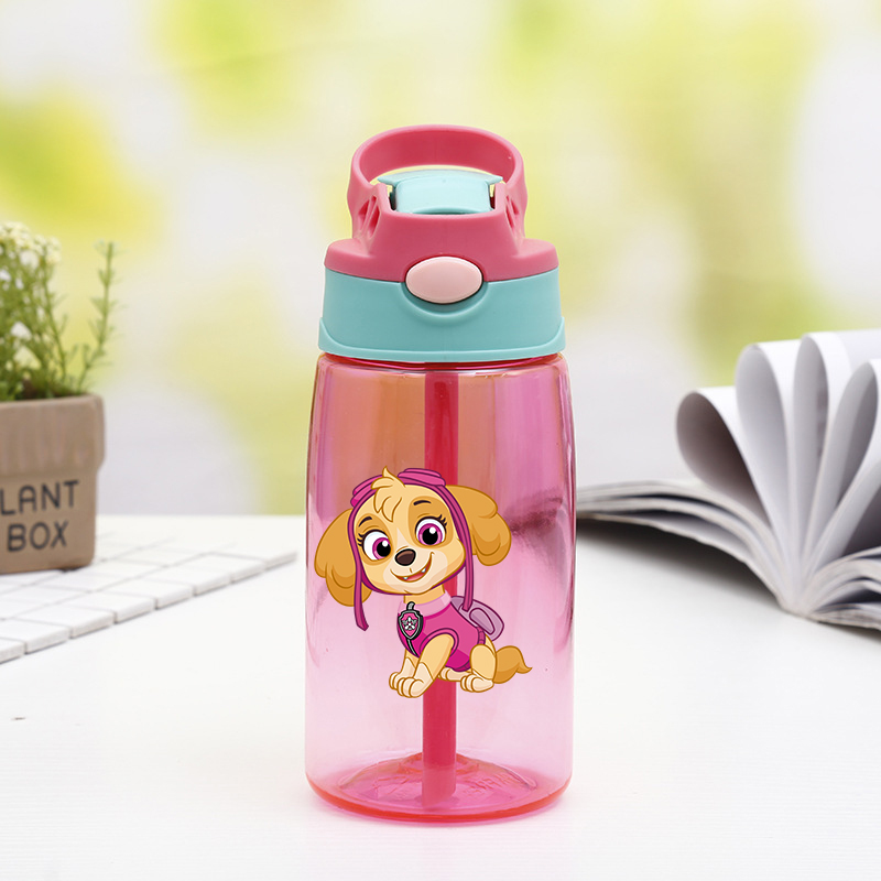 480ml Paw Patrols Water Bottle - Home Gym Compact avis et prix